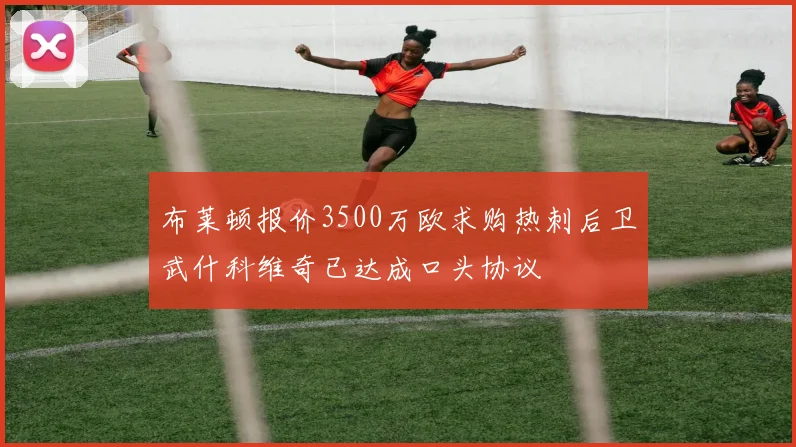 布莱顿报价3500万欧求购热刺后卫武什科维奇已达成口头协议